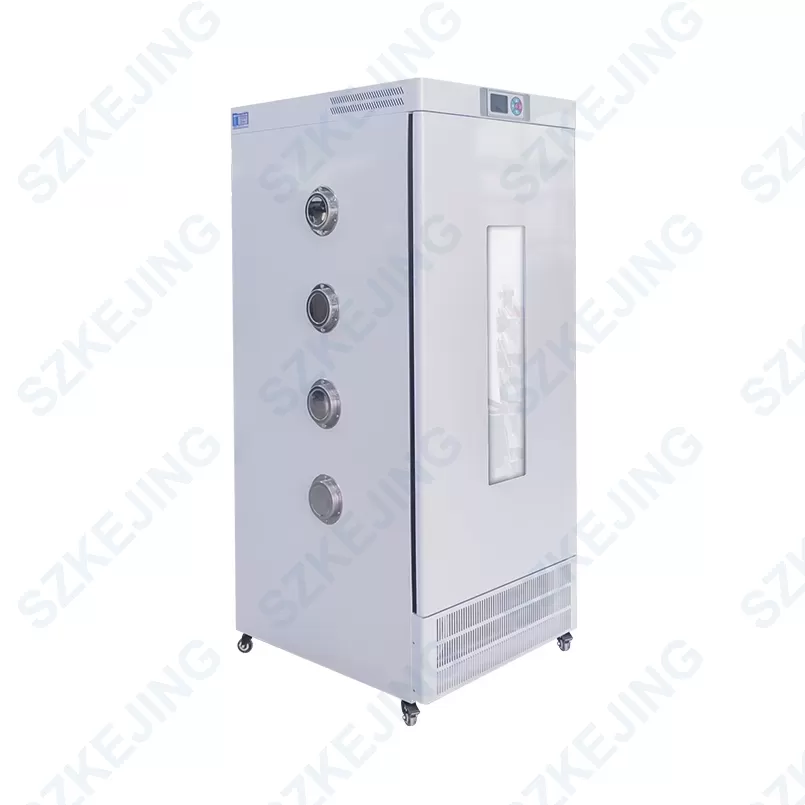 MSK-TE906-LBI530-03 Constant Temperature Test Chamber-MSK-TE906-LBI530